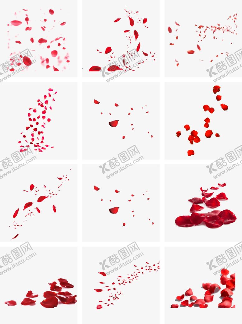 编号：47104307040722587052【酷图网】源文件下载-玫瑰花瓣