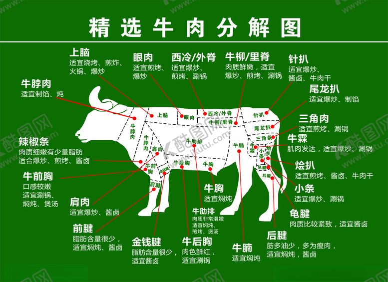 编号：82444302030901122363【酷图网】源文件下载-牛分解图