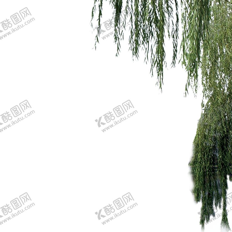 编号：76055810171125388065【酷图网】源文件下载-绿色装饰
