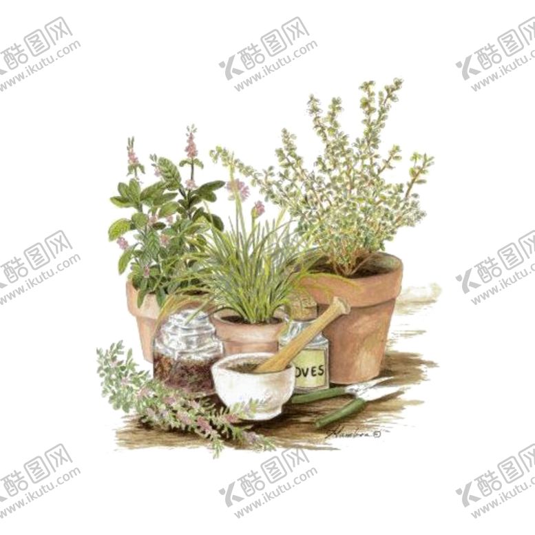 编号：11483802071308499514【酷图网】源文件下载-png格式植物花卉手绘素材