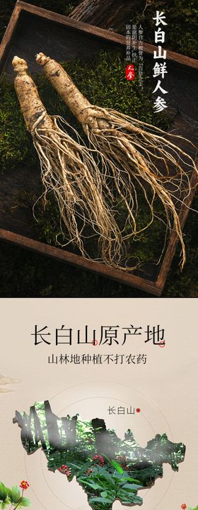 人参详情页