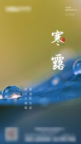 24节气寒露海报