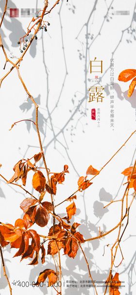 手绘中国传统24节气白露节海报