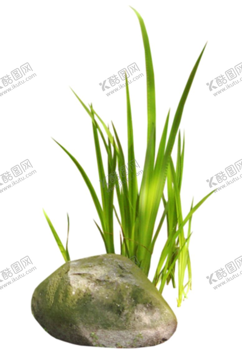 编号：39867907122205144298【酷图网】源文件下载-小草