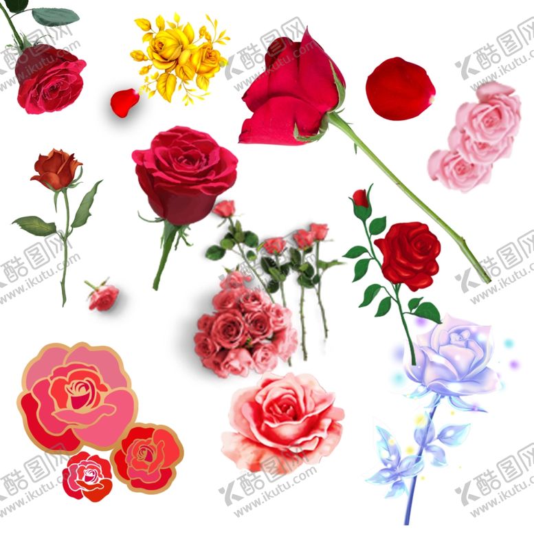 编号：65255905110536105100【酷图网】源文件下载-玫瑰花素材