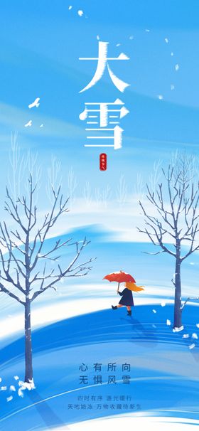 大雪海报