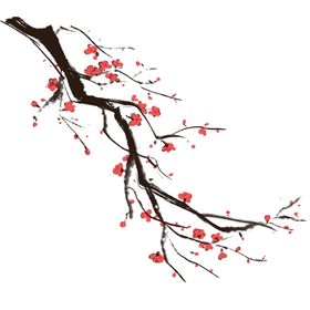 中国风水墨梅