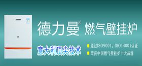 德力曼壁挂炉