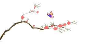 中国风水墨梅花节气屋檐山
