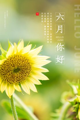 6月你好