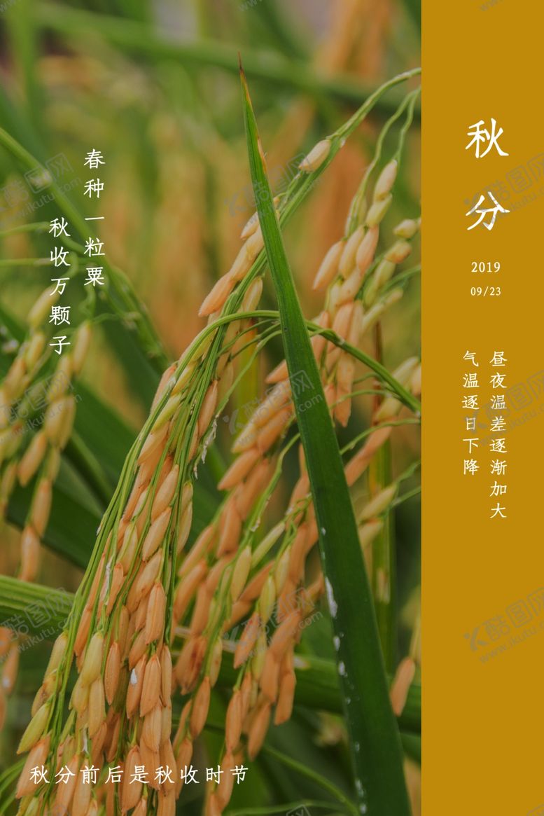 编号：28458806281834459153【酷图网】源文件下载-秋分海报