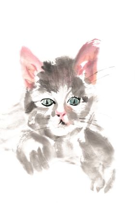 水彩手绘爱心猫咪