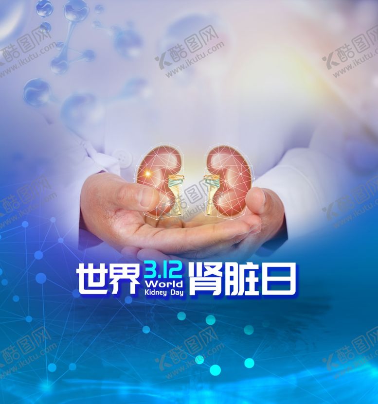 编号：38244607060427591220【酷图网】源文件下载-世界肾脏日