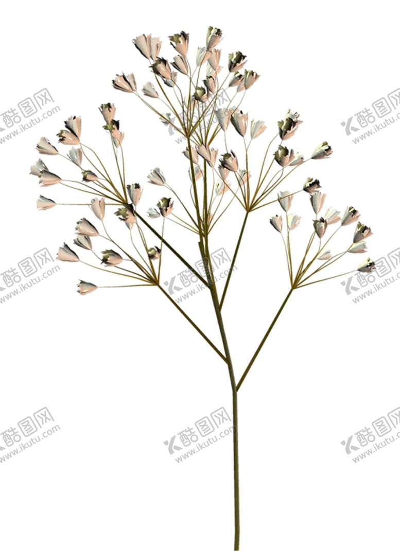 编号：43870106170840369523【酷图网】源文件下载-鲜花素材