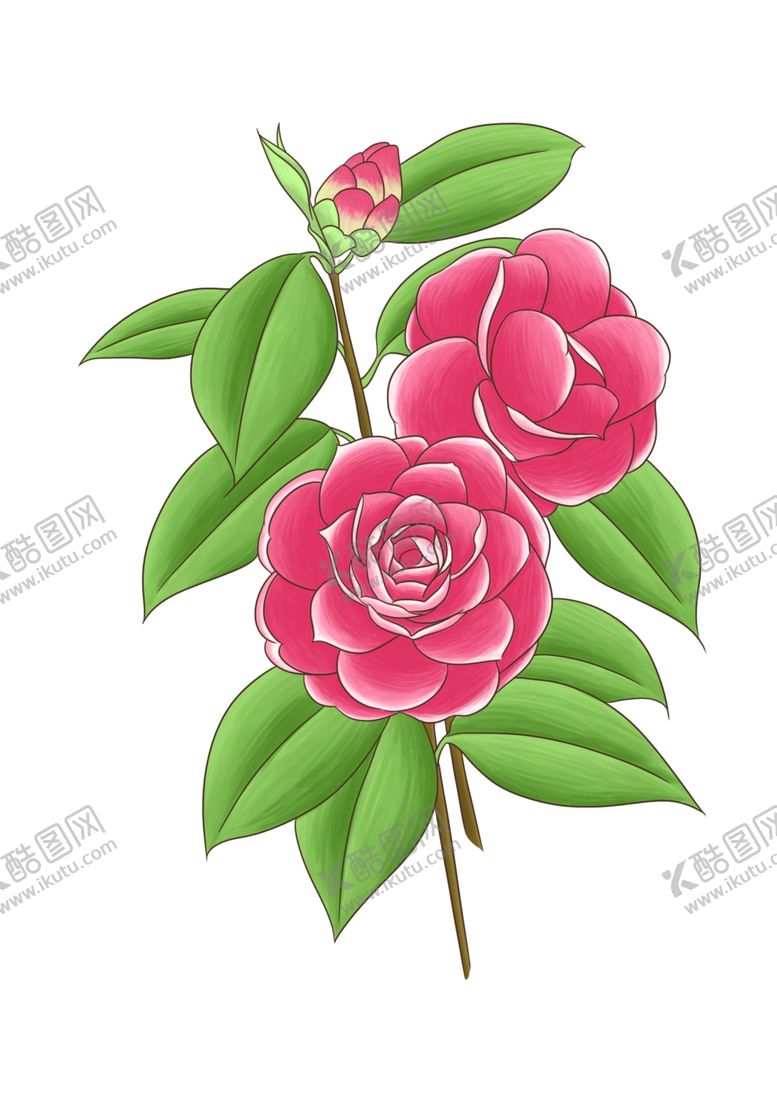 编号：60108010302259295100【酷图网】源文件下载-手绘插画花朵鲜花花卉植物
