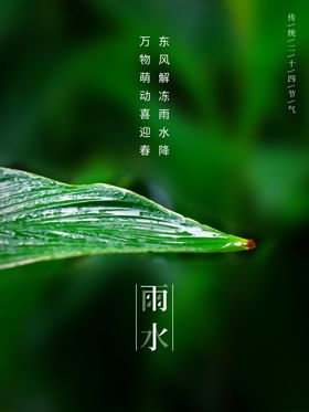 雨水节海报展板素材背景