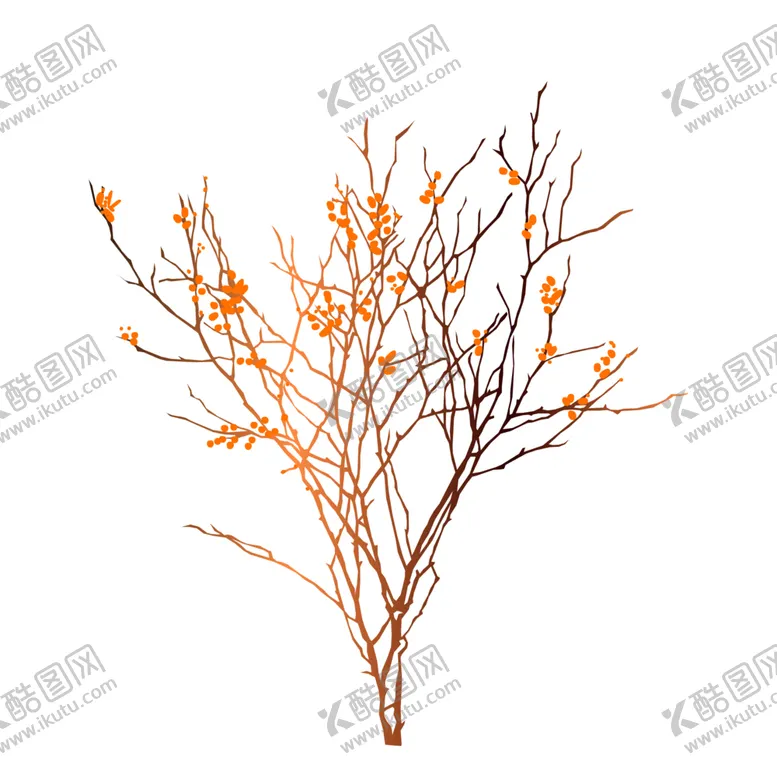 编号：53403106181222318588【酷图网】源文件下载-免抠背景干花枯花