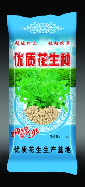 花生种子