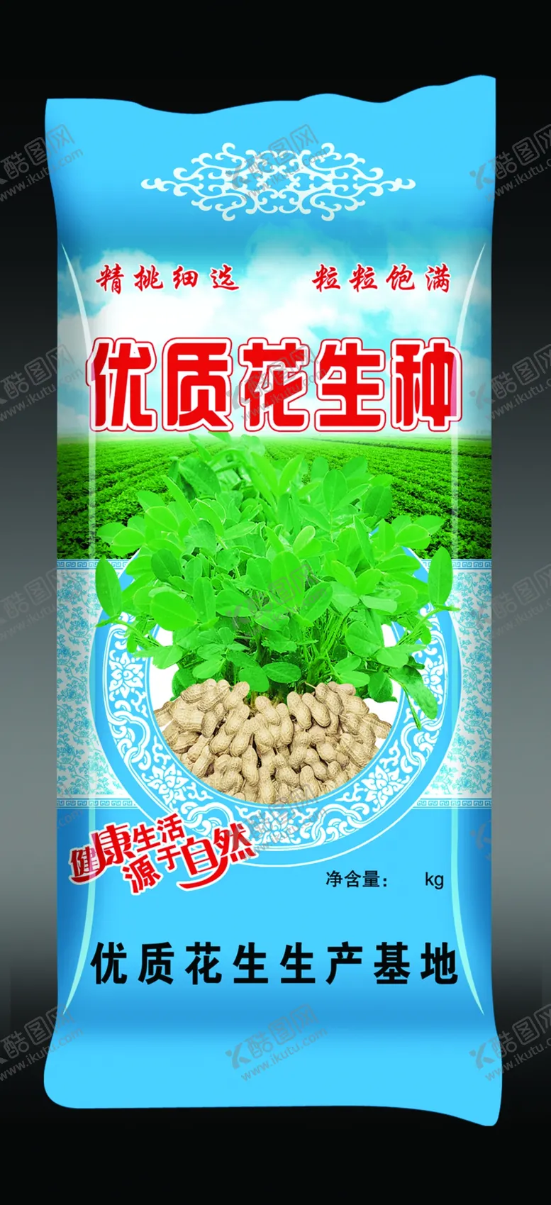 编号：68728706171048492821【酷图网】源文件下载-花生种子