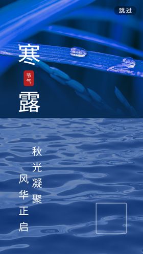 寒露海报