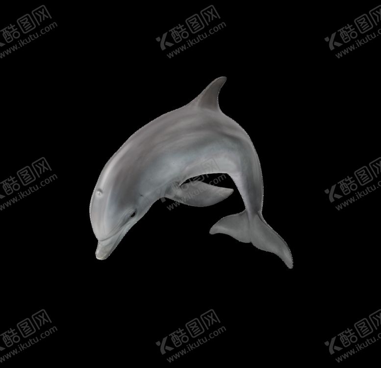 编号：48719210240421148862【酷图网】源文件下载-海洋生物