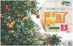 桔子banner