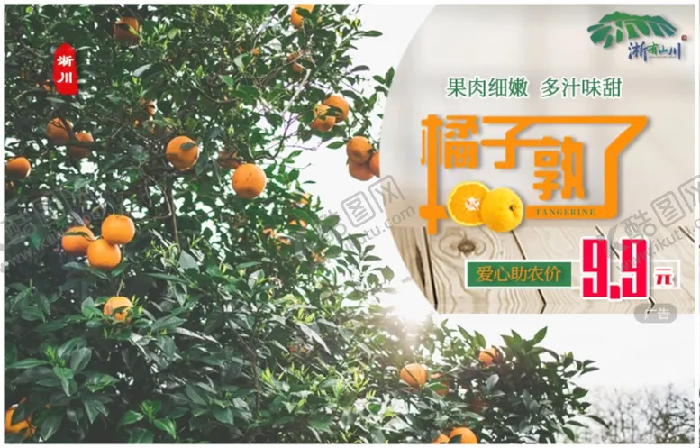 编号：97209006151327026905【酷图网】源文件下载-桔子banner