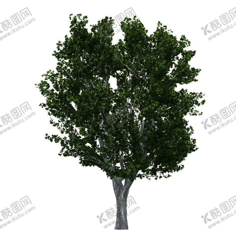 编号：25250007052213141979【酷图网】源文件下载-景观树