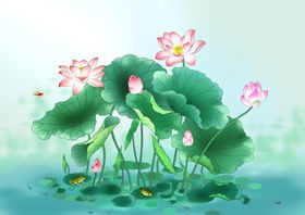 立夏海报