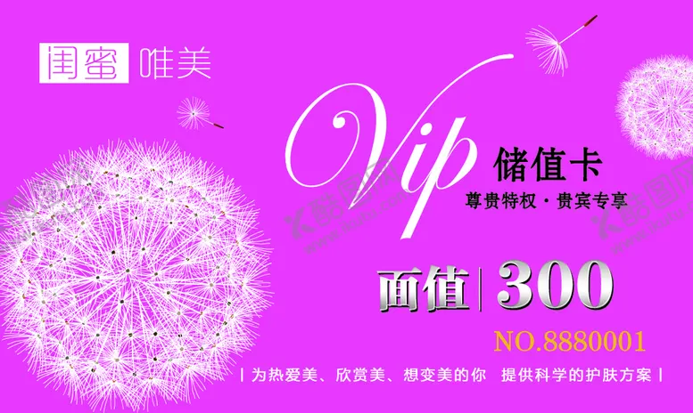 编号：26091409272255203025【酷图网】源文件下载-美容卡