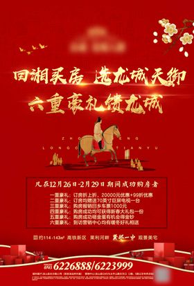 春节返乡置业海报