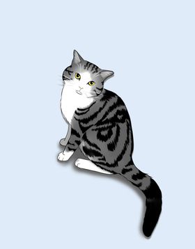 手绘猫