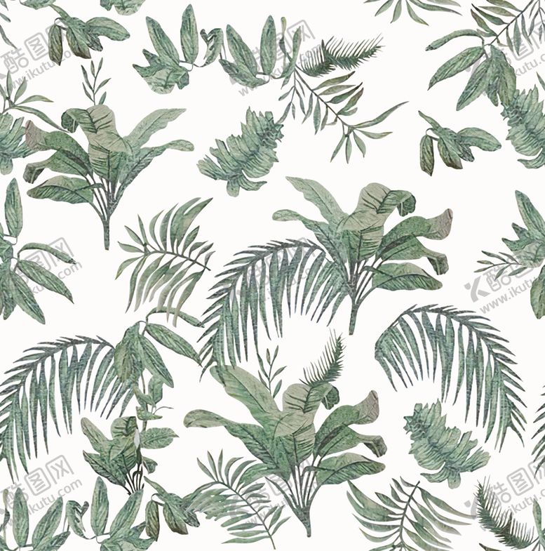 编号：54335710271155241002【酷图网】源文件下载-热带叶子