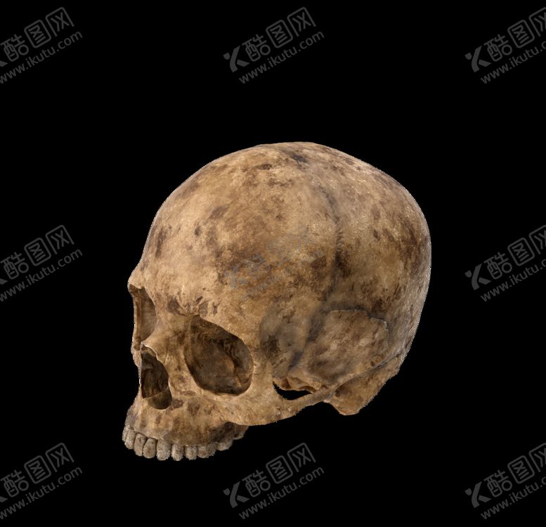 编号：81670409191952064124【酷图网】源文件下载-骷髅头