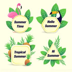 夏日热带风情装饰元素