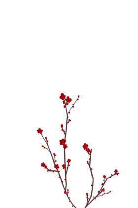 梅花素材