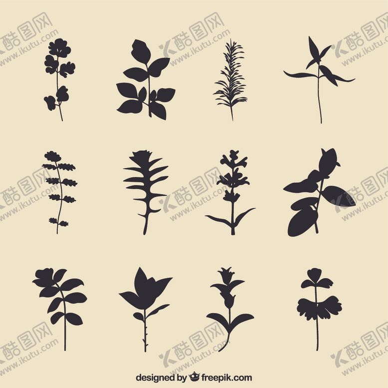 编号：56491307130844147780【酷图网】源文件下载-植物剪影