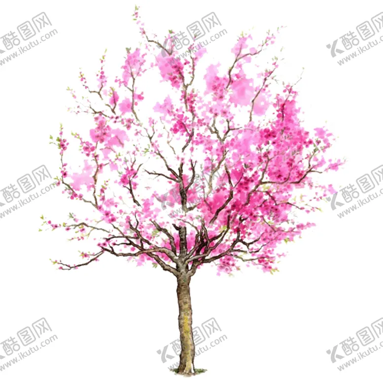 编号：46055606271932031720【酷图网】源文件下载-樱花装饰素材