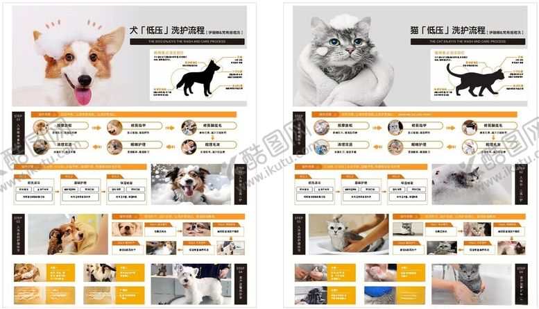 编号：94817909211709236793【酷图网】源文件下载-猫狗洗护流程