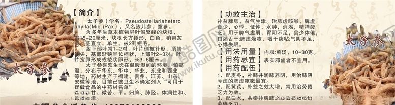 编号：22007307080214133348【酷图网】源文件下载-太子参名片