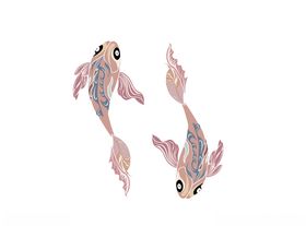 锦鲤鱼