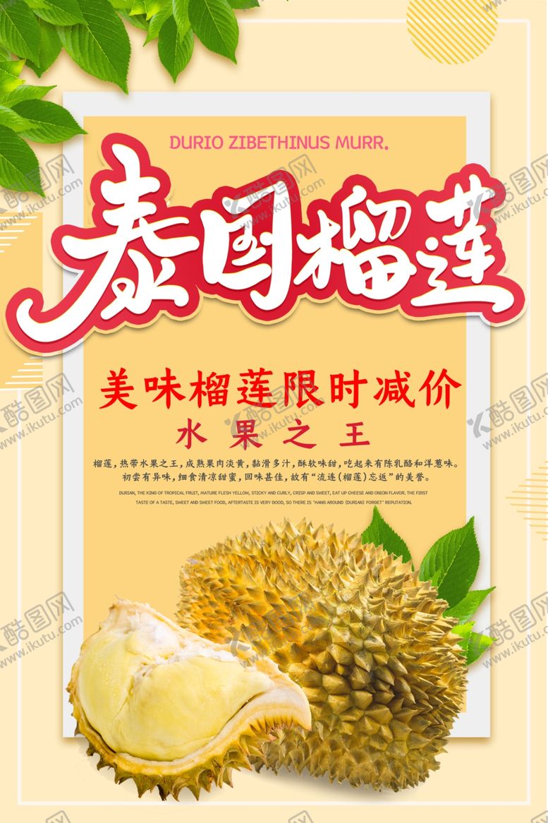 编号：34333209170744552725【酷图网】源文件下载-泰国榴莲