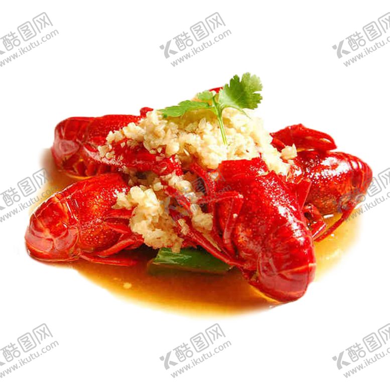 编号：81483010042041292627【酷图网】源文件下载-龙虾