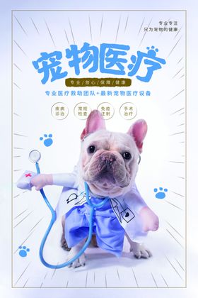 宠物医疗活动宣传海报素材