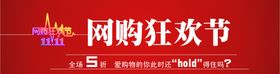网购狂欢促销banner