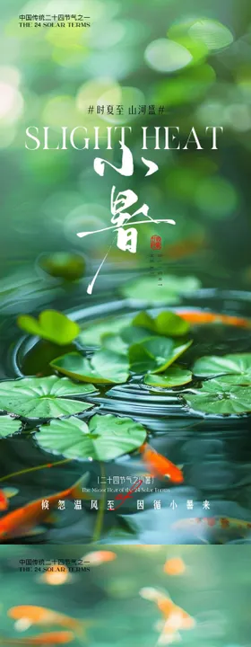 小暑大暑荷花荷叶节气海报