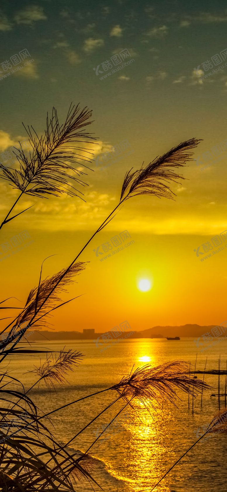 编号：28132209252231512012【酷图网】源文件下载-手机壁纸