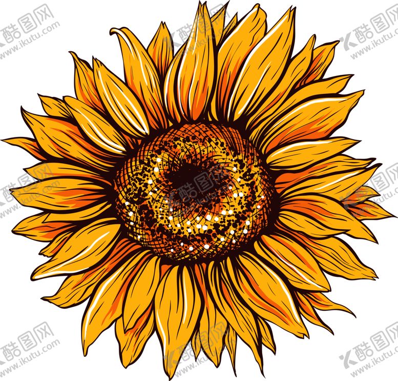 编号：36872809280835292993【酷图网】源文件下载-水彩手绘植物向日葵