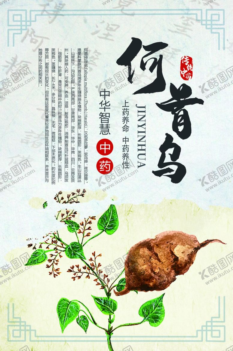 编号：73775009281253369030【酷图网】源文件下载-中药药材传统复古海报素材