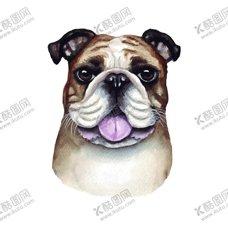 编号：38716909260455285427【酷图网】源文件下载-宠物狗斗牛犬